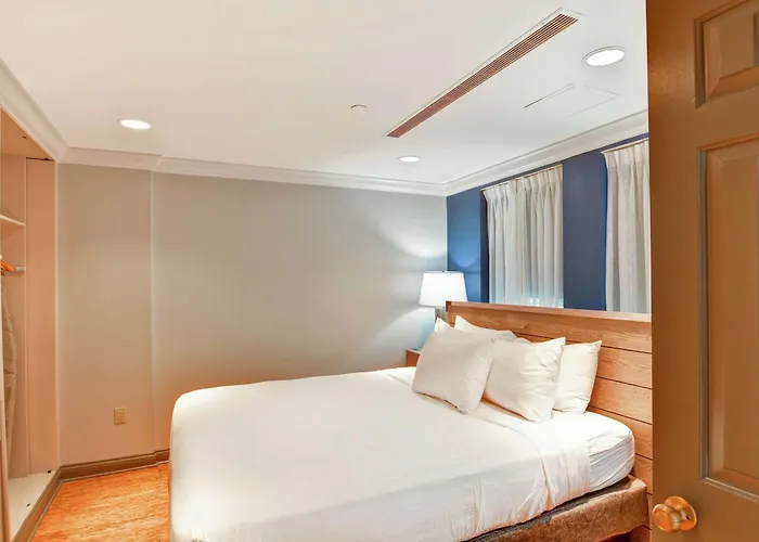The Cincinnatian Curio Collection By Hilton