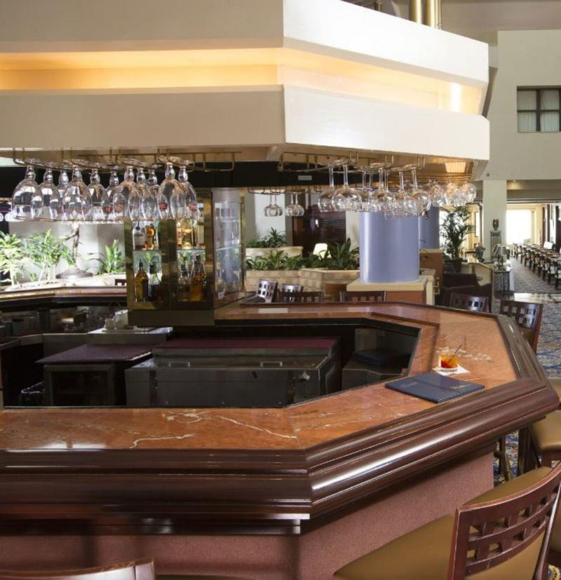 The Cincinnatian Curio Collection By Hilton