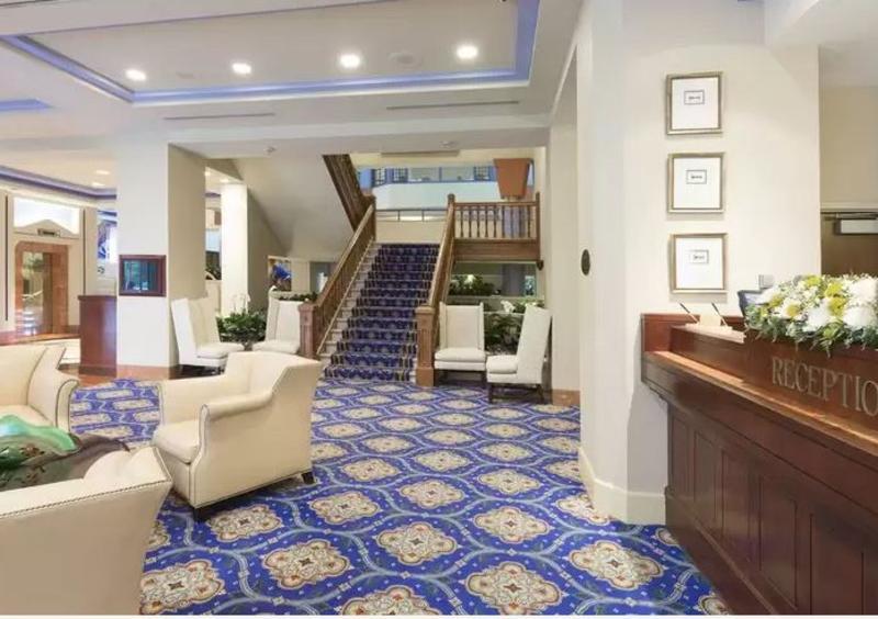 The Cincinnatian Curio Collection By Hilton